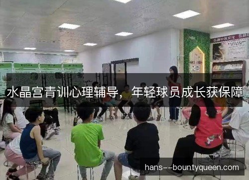 水晶宫青训心理辅导，年轻球员成长获保障